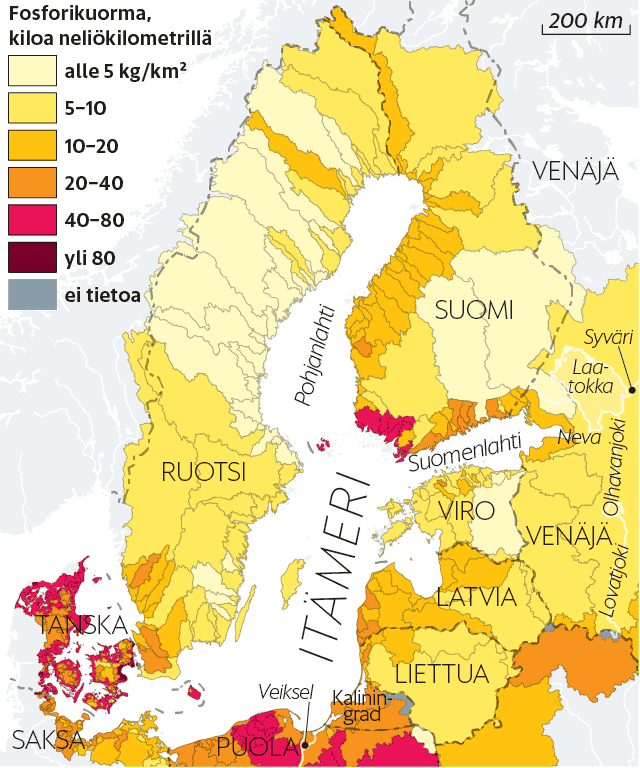 Lounais-Suomi on Itämeren pahimpia fosforin lähteitä, vaikka valtaosalla  alueen pelloista ei edes tarvita ravinnetta - Tiede 